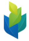 Resume Writing Service in Canada | Resume Writing, Cover Letters, LinkedIn, Interview Help logo